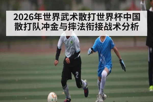 2026年世界武术散打世界杯中国散打队冲金与摔法衔接战术分析